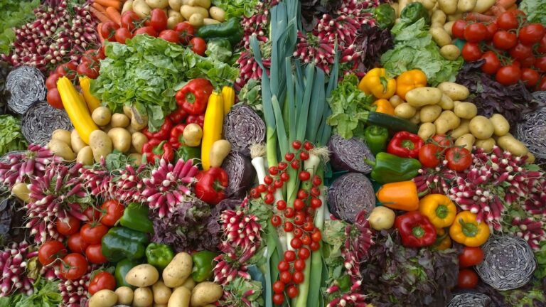 Ideas para almuerzos veganos llenos de sabor